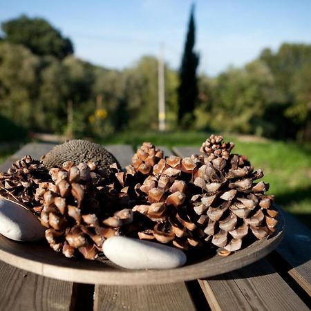 Casa Dell'Orto Guest House San Vito Chietino Luaran gambar